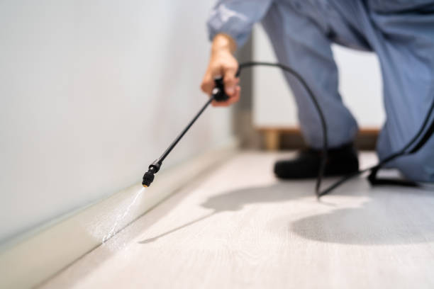 Licensed Termite Control service in Squaw Valley, CA - Nex Pest Control