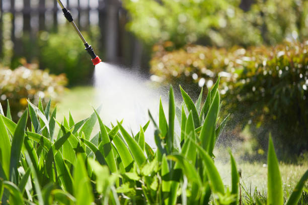 24/7 Emergency Termite Control experts in Squaw Valley, CA