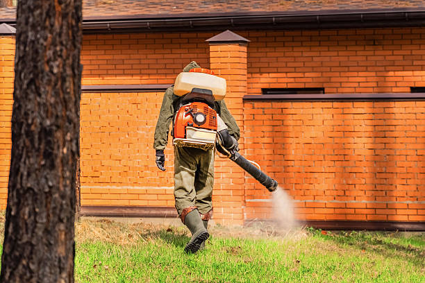 Top rated local Termite Control specialists in Squaw Valley, CA